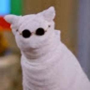 Meet your Posher, Lizzy